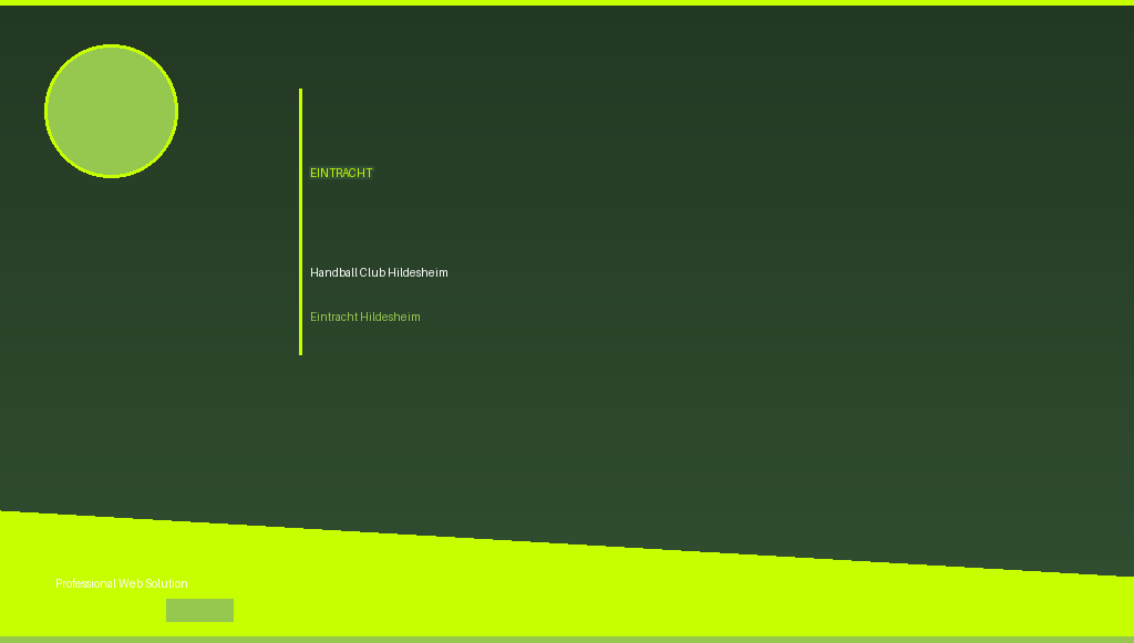 Eintracht Hildesheim